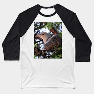 Channel-billed Cuckoo Baseball T-Shirt